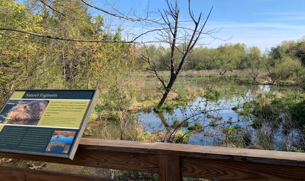 Leopold's Preserve