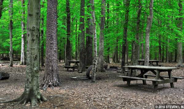 Turkey Run Ridge Group Campground
