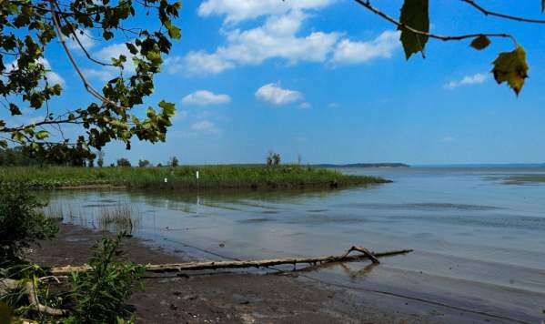 Featherstone National Wildlife Refuge