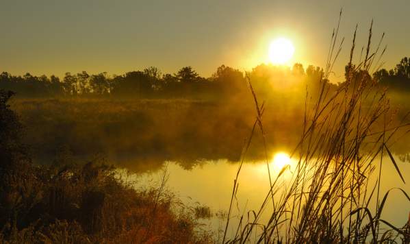 Occoquan Bay National Wildlife Refuge