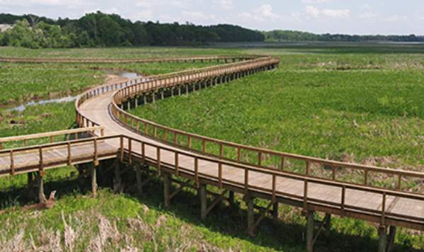 Neabsco Creek Boardwalk