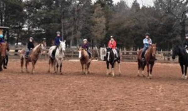 Silver Eagle Stable