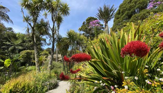 Tresco Abbey Garden