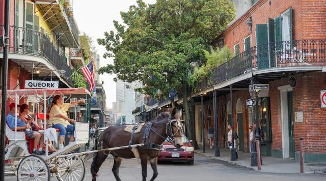 French Quarter Mule and Buggy