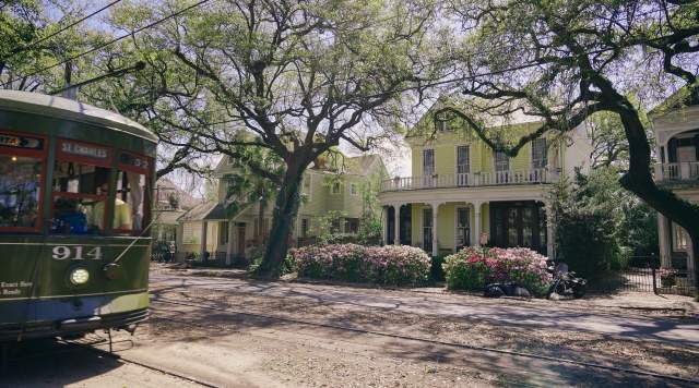 Streetcar - Uptown Spring Color - Azaleas - St. Charles Avenue