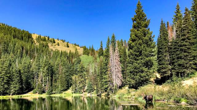 The Best Park City Day Hikes