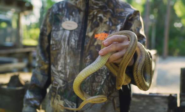 Photo of person holding tame snake at Babcock Ranch Eco Tours