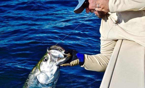 Capt. Jay Withers reels in a tarpon