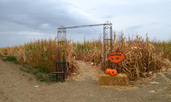 From Harvest to Halloween: Fort Collins in October