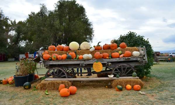 Must Do Fort Collins Halloween Events