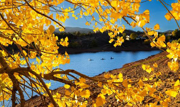 Top Spots for Fall Colors in Fort Collins