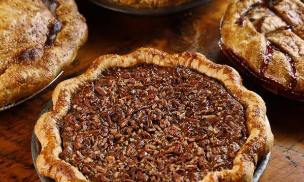 Treat Yourself in Fort Collins