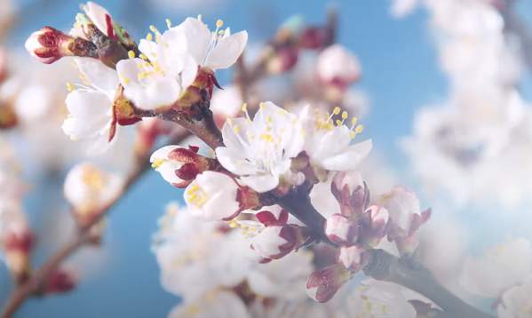 Spring into Action This April: Must-Attend Events in Fort Collins!