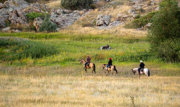 Only in FoCo: Tattered Saddle