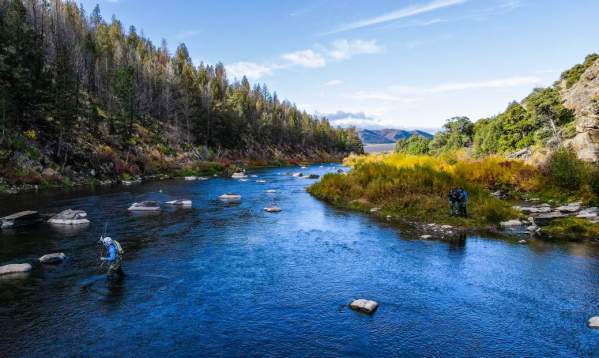 Fall Fishing in Fort Collins and Northern Colorado: Top Spots and Seasonal Tips