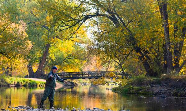 From Harvest to Halloween: Fort Collins in October