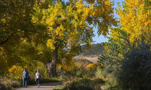 8 Reasons to Visit Fort Collins This Fall