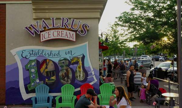 Only in FoCo: Walrus Ice Cream