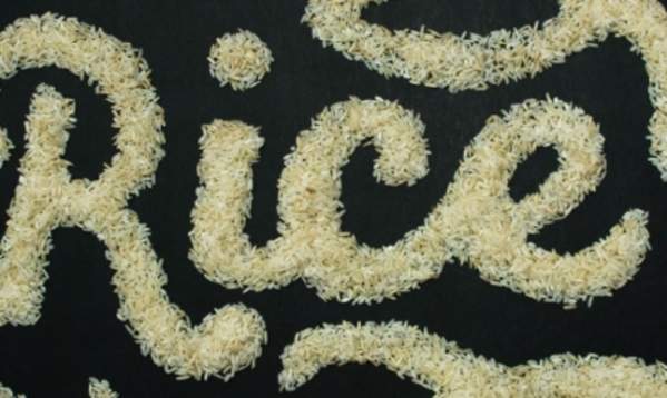 Ingrained - The History of Rice in Louisiana