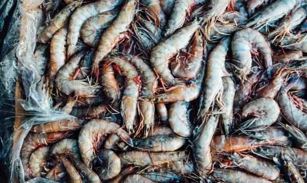 Gulf Seafood in Lafayette