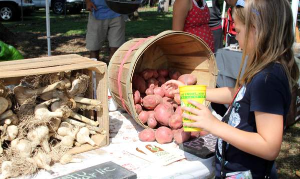 Farmer's Market at the Horse Farm