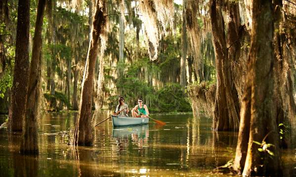 Top 5 Places to Paddle in Acadiana