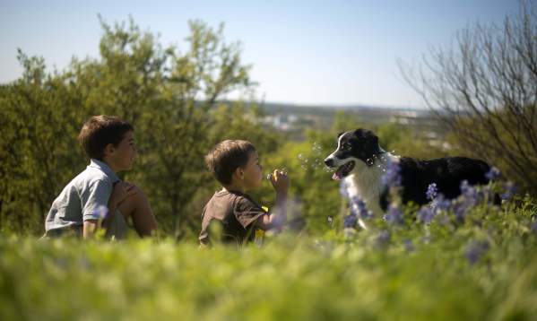 Dog-friendly Spots in Marble Falls