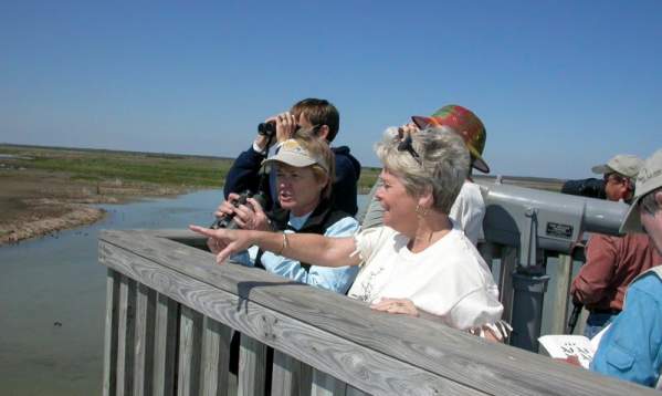 Birding at Leona Turnbull