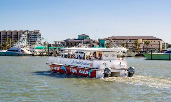 dolphin adventure scarlet lady