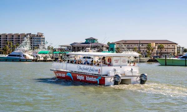 dolphin adventure scarlet lady