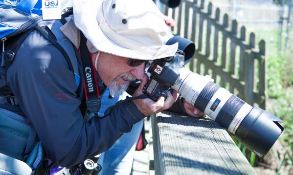 A birder with a large camera takes a photo