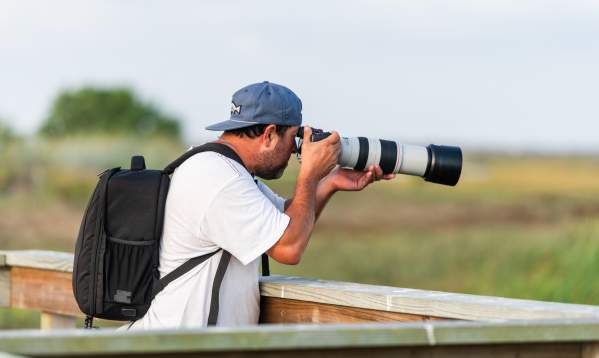Birding