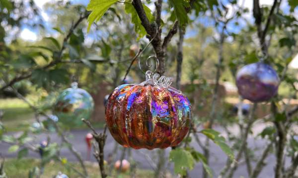 WGK PUMPKIN