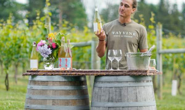 Wayvine Winery & Vineyard