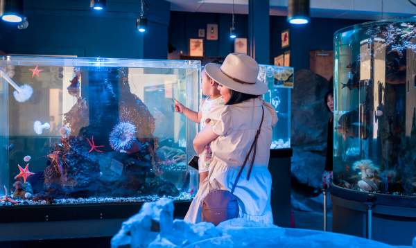 A woman holds her child up to view marine life in an aquarium tank.