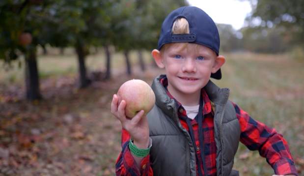 Green's Fruit Farm