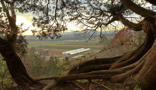 Dale's Ridge