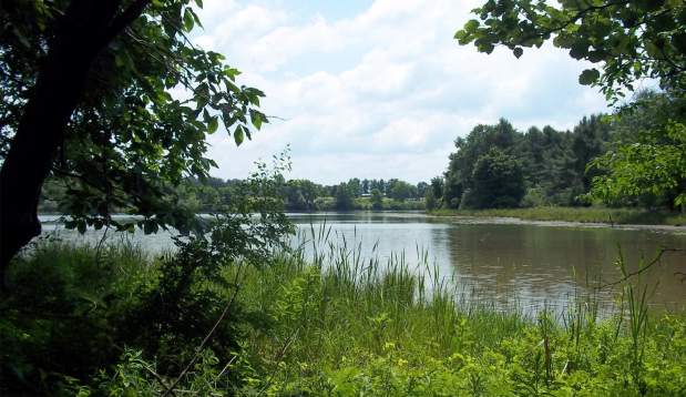 Lake-Chillisquaque-Montour-Preserve