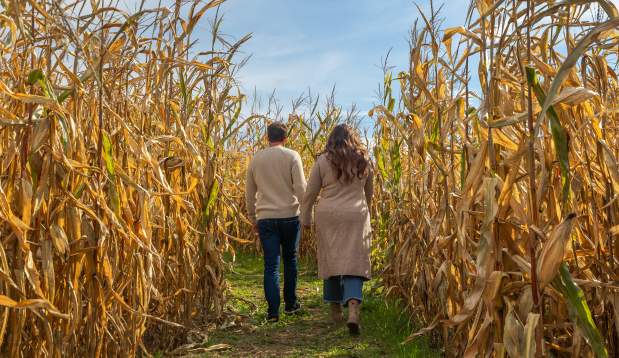 Corn Maze at Northhill