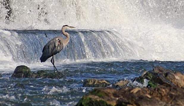 crane waterfall