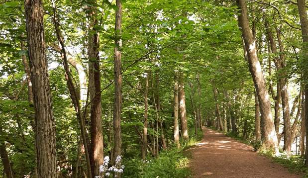 Watsontown Towpath