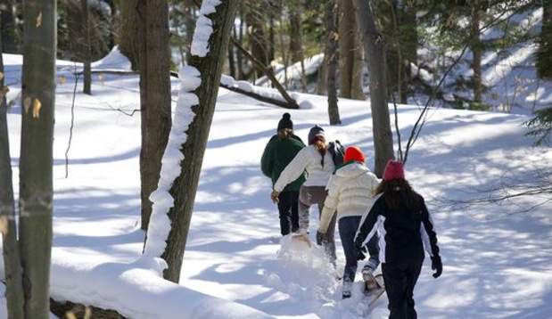 Group of people snowshoeing through snowy forest.