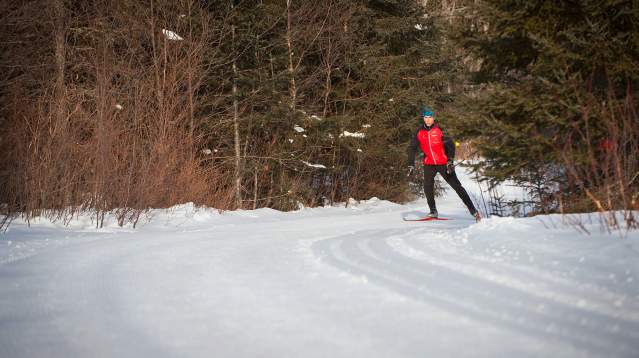 Cross-Country Skiing / skier