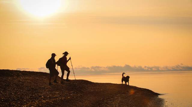 Two people hiking the beach with a dog next to Lake Superior