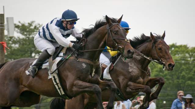 Point-to-Point at Winterthur