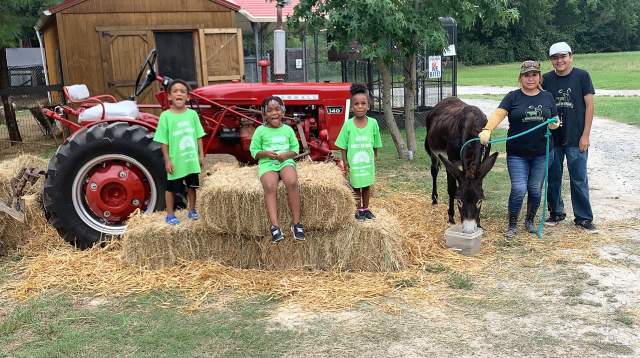 A smiling multigenerational family stands by a red tractor and hay bales at a Fayetteville farm, wearing matching green reunion shirts as a mule grazes nearby.
