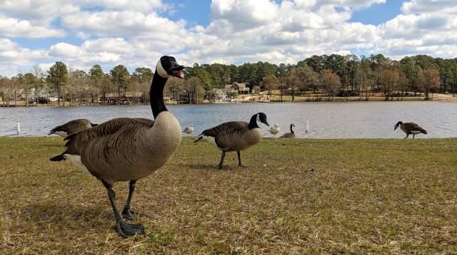 Hope Mills Lake