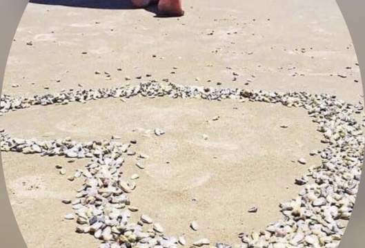 Shorely Blessed Vacation Properties