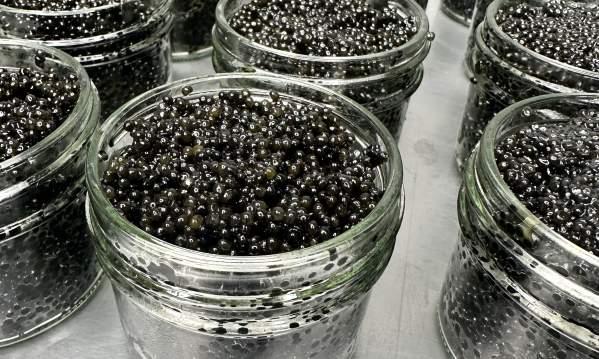 America's Best Caviar Makes Waves From Western Kentucky