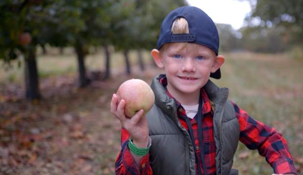 Green's Fruit Farm